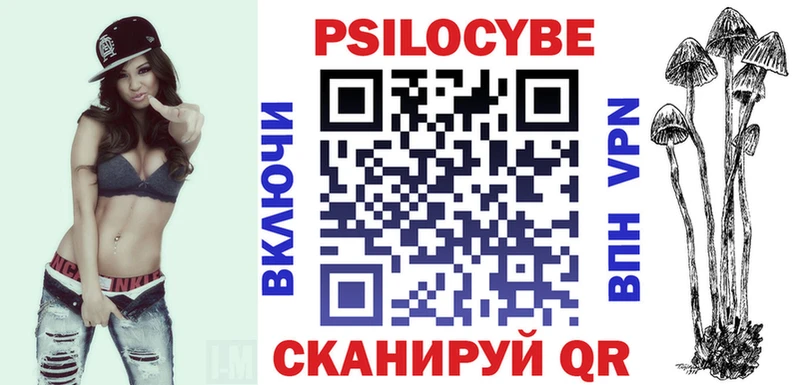 Псилоцибиновые грибы Psilocybe Кисловодск